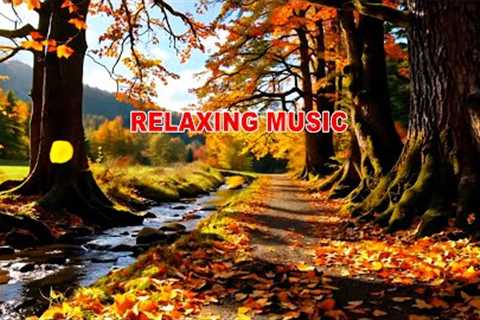 Reduce stress and feeling calm music with beautiful autumn 