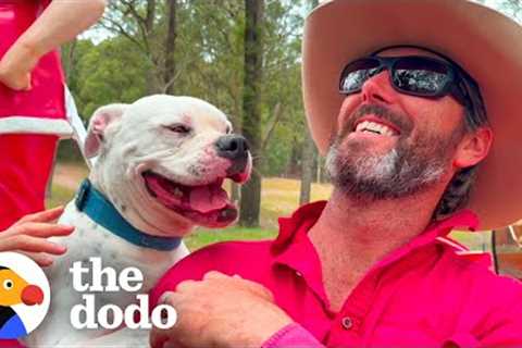 Aggressive Dog Just Wanted Someone To Be Proud Of Him | The Dodo