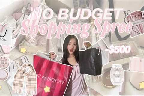 BLACK FRIDAY NO BUDGET Spending Spree 🧾⟡˖ ࣪ 🛒| $500 on Victoria secret, hollister, jellycats, etc