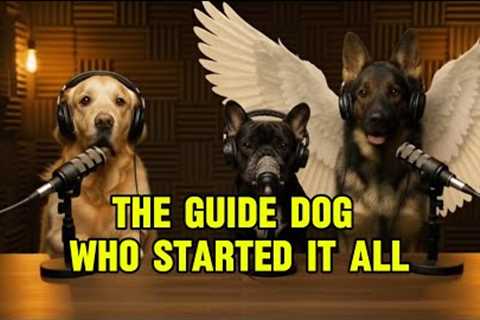 The First Guide Dog Joins From The Rainbow Bridge 