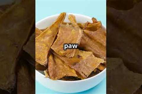 3 Easy Dog Tricks to Teach Your Pup!  #puppy #puppyloveforever #pets