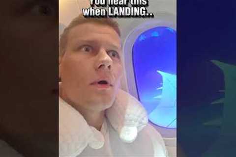 Airplane Landing Gone Wrong ✈️😂 #travel #funnyshorts #comedy