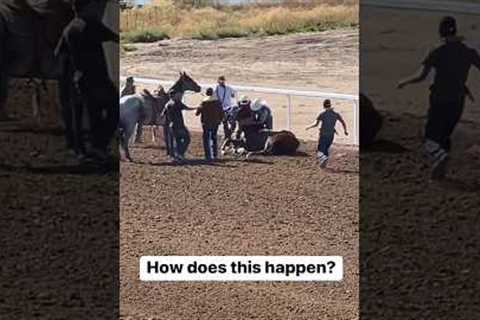 Horse Racing Accident at Sweetwater Downs Wyoming #wyoming Horses Race #horseracing Accidents Wrecks