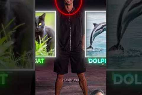 #shorts​ #football​ #viral​ #viralvideo​ #trending​ #foryou​ #fyp​ #ronaldo​ #cristianoronaldo​#cat​