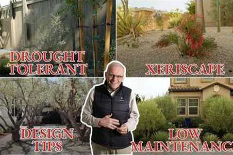 Our Favorite Xeriscape &amp; Low Maintenance Landscape Design Tips (Compilation Video)