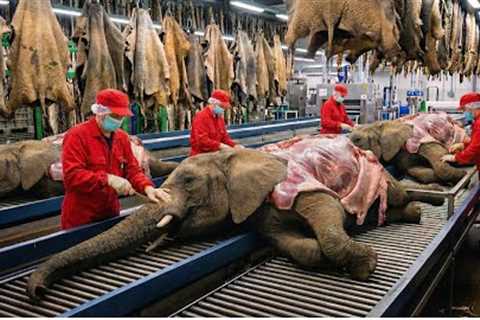 Inside Modern Elephant Leather Factory: From Raw Elephant Hide to High-End Briefcase (Full Process)