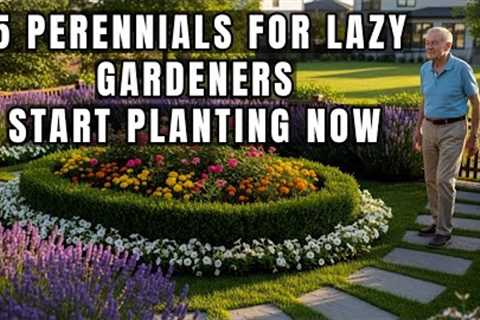 15 PERENNIALS FOR LAZY GARDENERS START PLANTING NOW | Gardening Tips 
