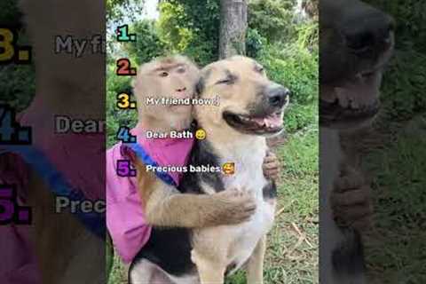 CUTEST Animal Friendships EVER!!