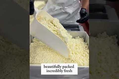 A Cheese Lovers Dream Gift!