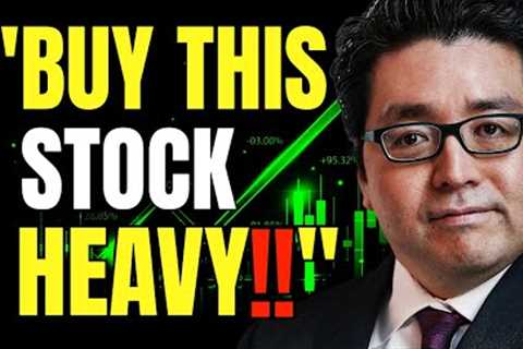 Tom Lee: Get Ready For A Huge Market Rally Before Year End (3 AI Stocks With Long Term Potential)