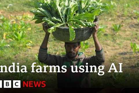 Artificial intelligence comes to farming in India | BBC News