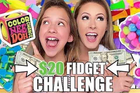 $20 FIDGET SHOPPING CHALLENGE!