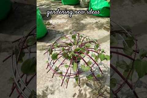 gardening new ideas #garden  #ideas #gardening #plants