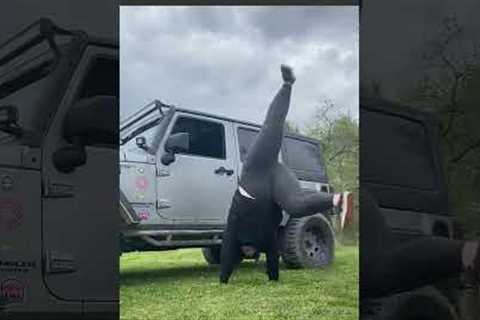 Hilarious Yoga Poses | 50 Fails