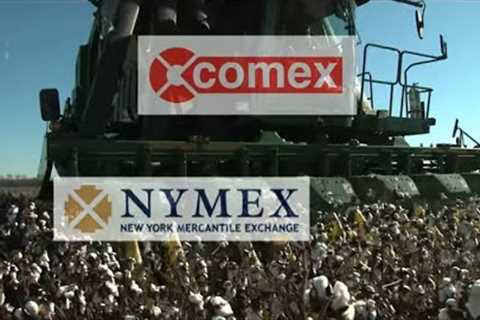 Agricultural Commodities: The Basics of Trading Futures and Options