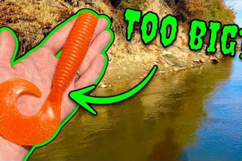 Fishing With The BIGGEST Lures I Could Find! (GIANT SOFT PLASTICS!)