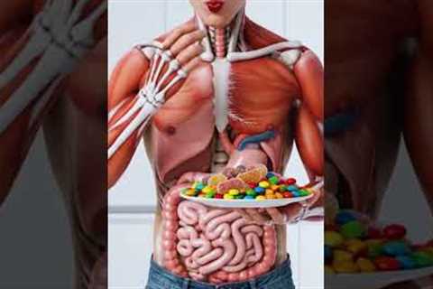 What Happens When You Eat Candy? 🍬 | Digestive System AI Animation
