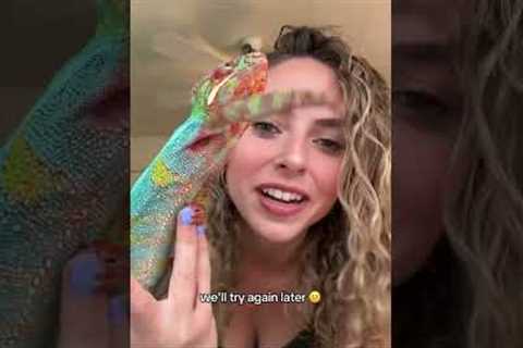 Watch me get bright and frustrated with mom as the video goes on ☠️🌈🦖👩🏼 🍳🛎️🍽️•••••••••#pa