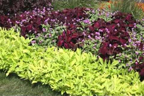 Garden Landscape - How to Design a Garden