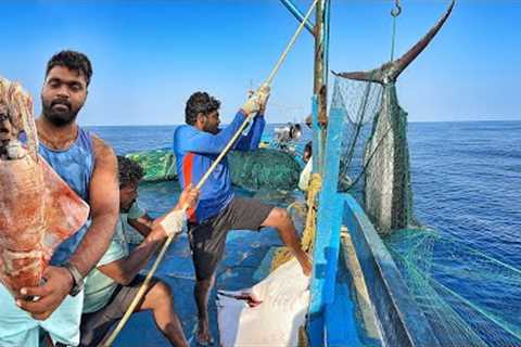 OMG! The Third Day We Stayed In The Deep Sea And Caught A Lot Of Big Fishes | Day-03 | S07-EP03