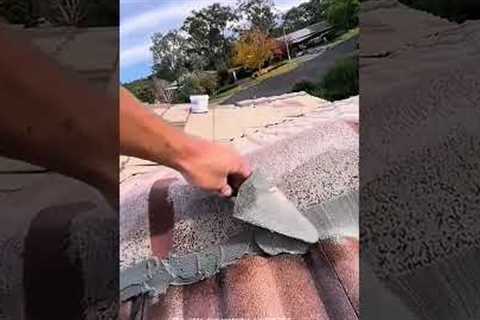 Roof Repair Hack: Fixing Leaks with Flexible Sealant!