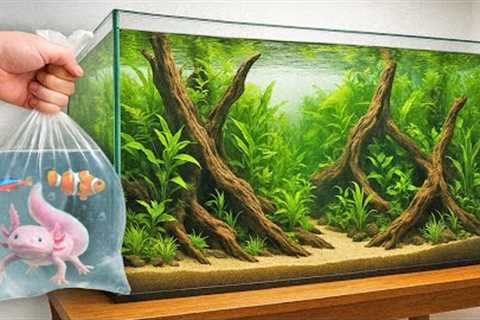 I Built a Mega Fish Tank (for the coolest fish)