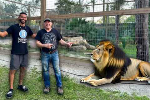 I TOURED A Private SANCTUARY In FLORIDA With BIG CATS!