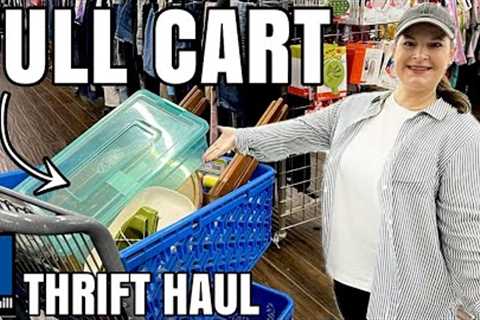 NEVER SEEN ANY THIS SIZE! I FILLED THE CART! Incredible Goodwill &amp; Antique Thrift Haul 