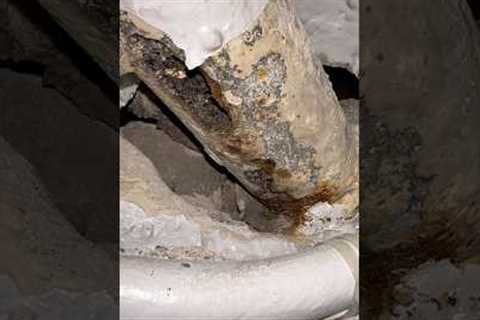 Corroded galvanized pipe fix #nyc