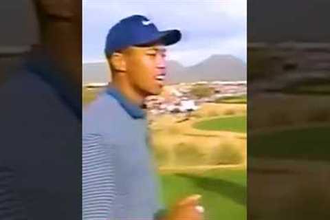 Tiger Woods Hole In One⛳️🏌️ #golf #tiger