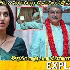 #EGC Telugu Movie Explained | egc movie review | Movie Explained in Telugu 