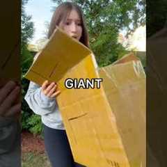 Unboxing a GIANT MYSTERY BOX! 😱😳📦 *$100 haul*