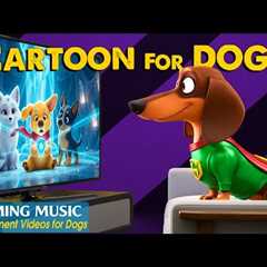 Dog Cartoon: All Day Anti-Anxiety Videos for Dogs to Watch when Home Alone - Calming Cartoon + Music