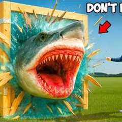 I Bought Every Live Fish Mystery Box!