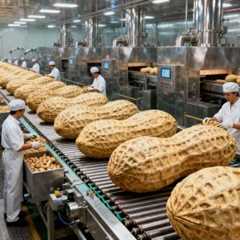 Inside a Crunchy Peanut Butter Factory: How They Make the Perfect Crunch (Full Process)