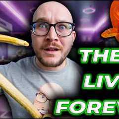 Watch This BEFORE You Get a Pet Snake... The Things They Don't Tell You