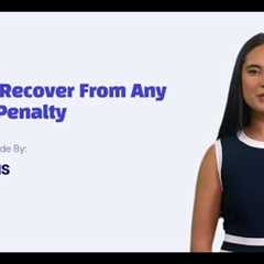 Recovery from Google Penalty Updates