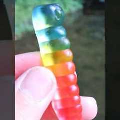 Fishing with gummy worms..