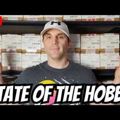 State Of The Pokemon Hobby Q&A