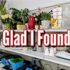 I Thrifted One of My Goals this Season! | Goodwill Thrift with Me & Christmas Haul 2025