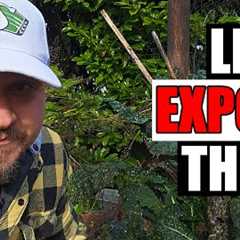8 Gardening Myths Exposed