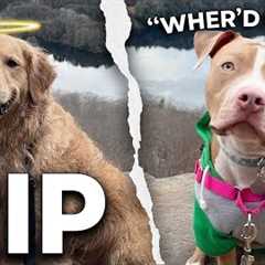 After Tragedy, She Became Dangerous—Can I Help?