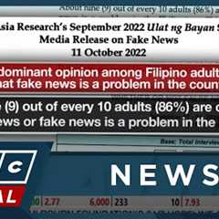 Social media influencers are 'top spreaders' of fake news in PH: survey | ANC