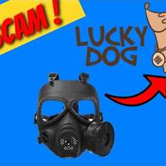 LUCKY DOG MINER - STOLE YOUR CRYPTO !!!!!  RUG PULLED  #bakedbeansfork #grinchminer #roastbeefminer