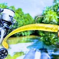 Do These LURES Work In TINY Saltwater Drains? (Wild Hookup!)