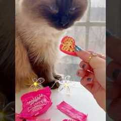 UNBOXING KAWAII MINI BRANDS! 😱😳🎀 *satisfying tiny food*