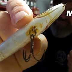 This Simple Trick Cleans Rusty Lures Fast!
