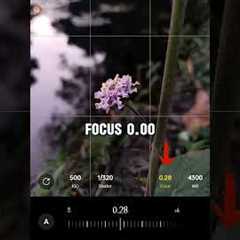 Creative Photography | Tips & Tricks with Phone using Pro Mode oj | Mobile Photography Hacks