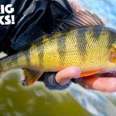 Fishing With Ultralight Gear In COLD WEATHER!