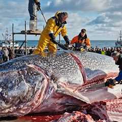 How Fishermen Earn $50 Million in 72 Hours Catching Giant Halibut – Deep-Sea Documentary